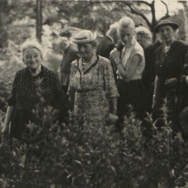 Bild: Exkursion in den Botanischen Lehrgarten, 7. Juli 1948. In: Sächsisches Staatsarchiv, Staatsarchiv Leipzig, 21758 Kulturbund der DDR, Fachgruppe Stadtgeschichte, Nr. 183